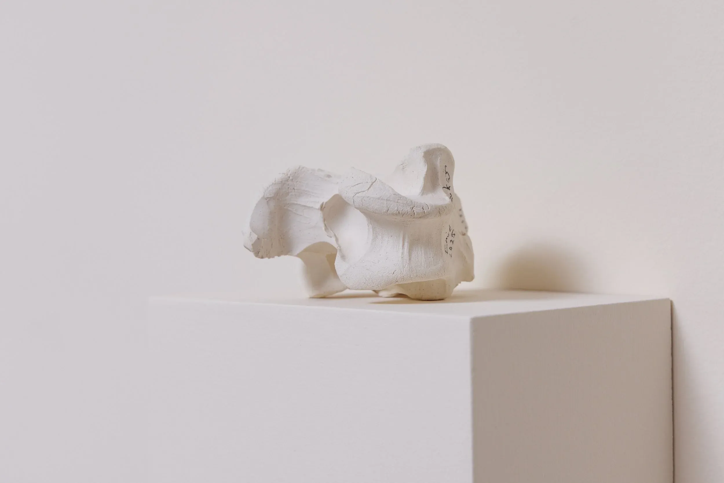 Emil Lukas, image 2 of 2