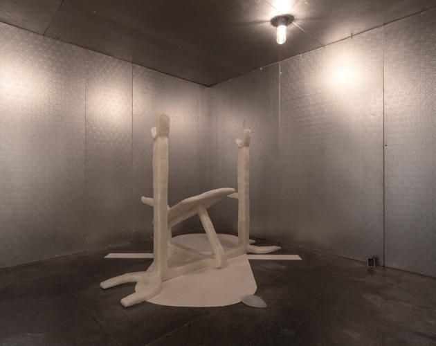 Matthew Barney, Facility Of Decline at Gladstone, photo 10