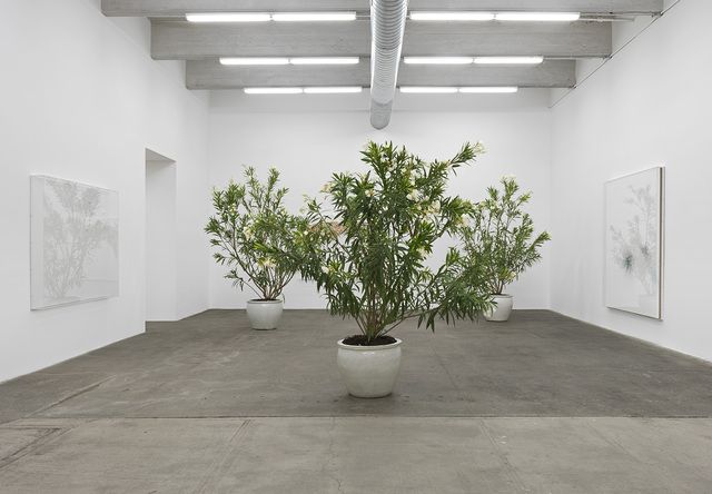 Thilo Heinzmann, Thilo Heinzmann at Bortolami, photo 7