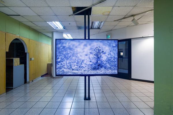 David Hartt, Interval at LAXART, photo 3