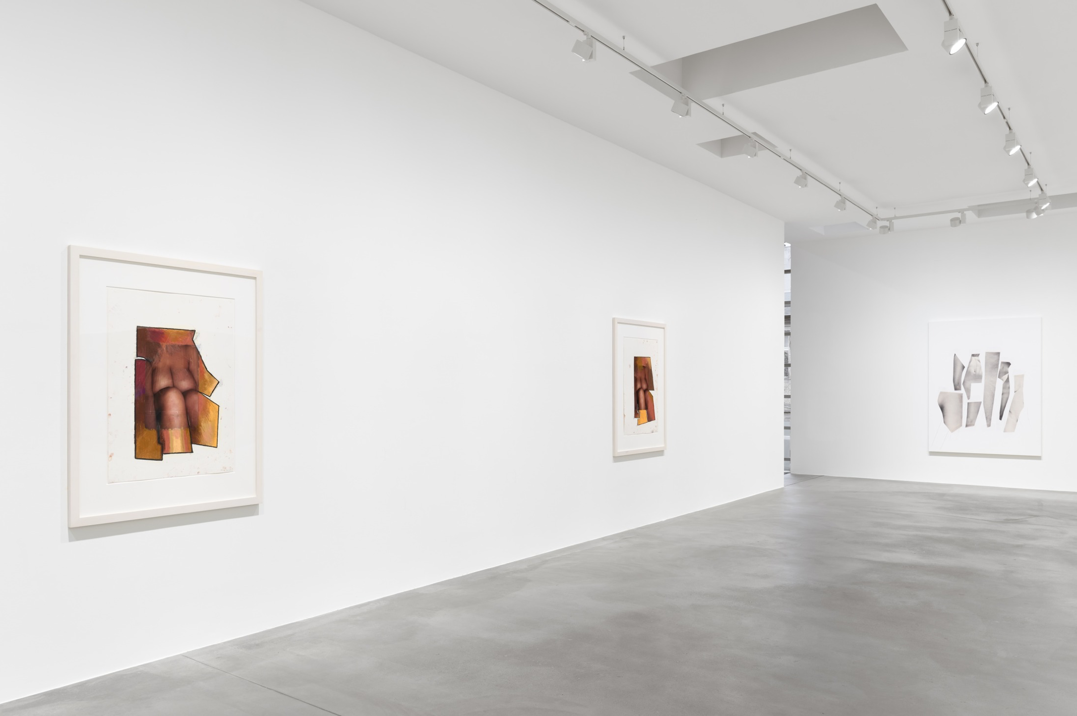 Richard Prince, Body at Max Hetzler, photo 11