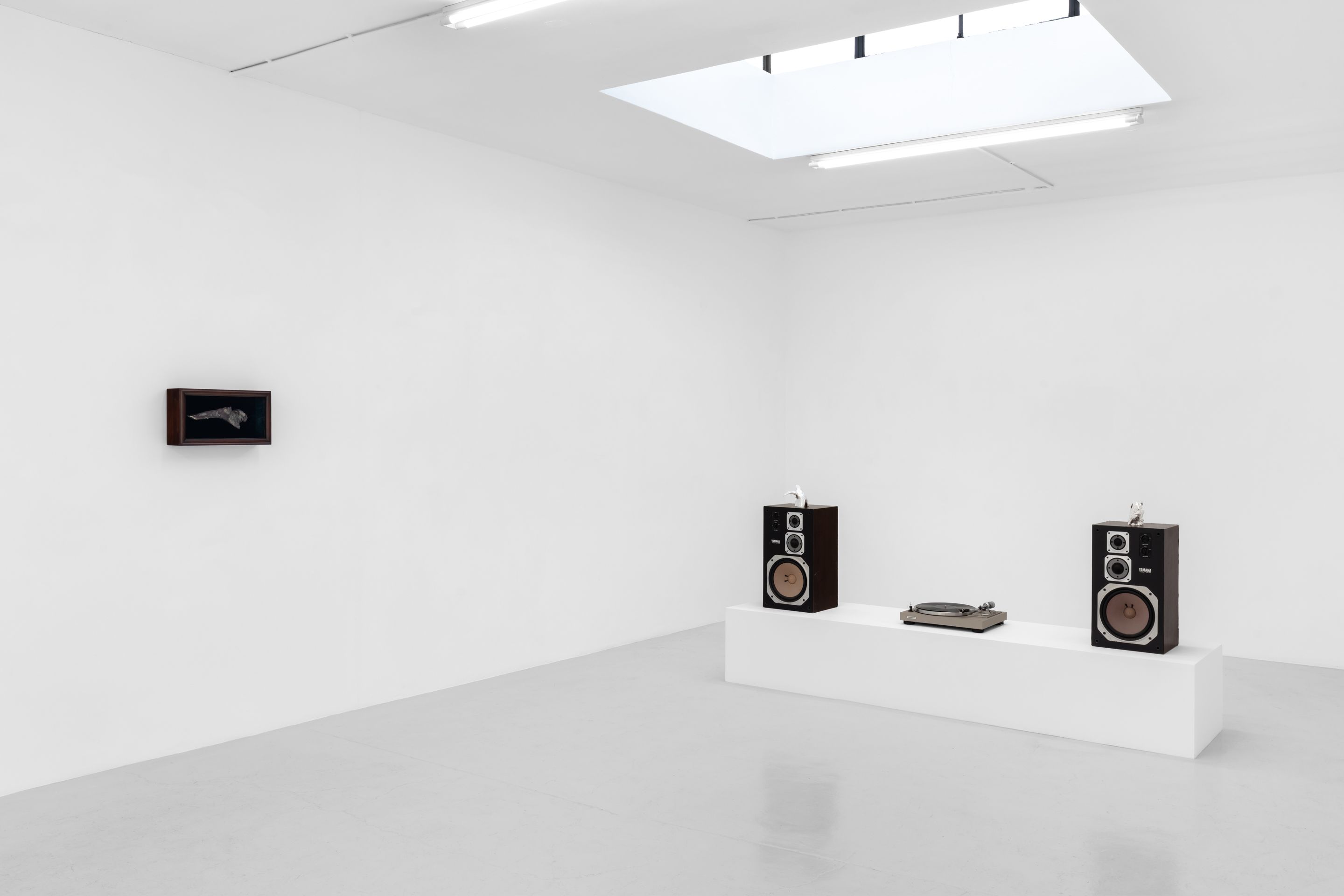 Zaza', image 4 of 23