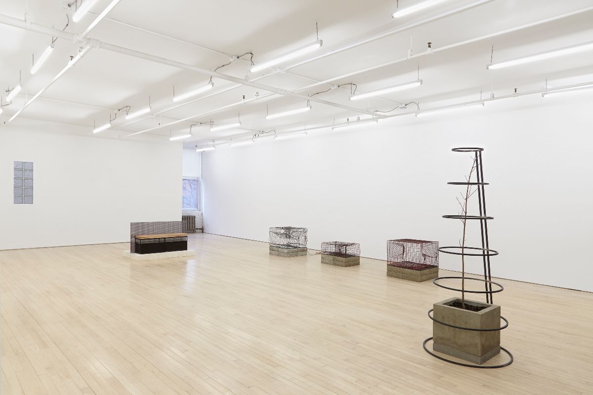 Charles Harlan, image 3 of 3
