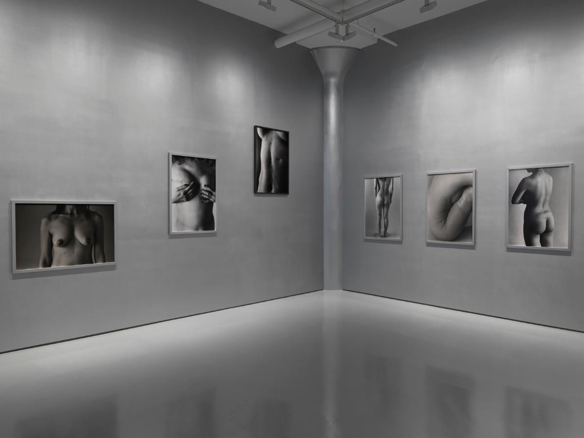 Ishiuchi Miyako, Ishiuchi Miyako at Fergus McCaffrey, photo 3