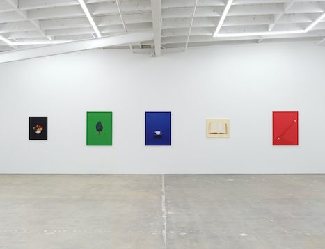 Sarah Charlesworth, Neverland at Karma, photo 6