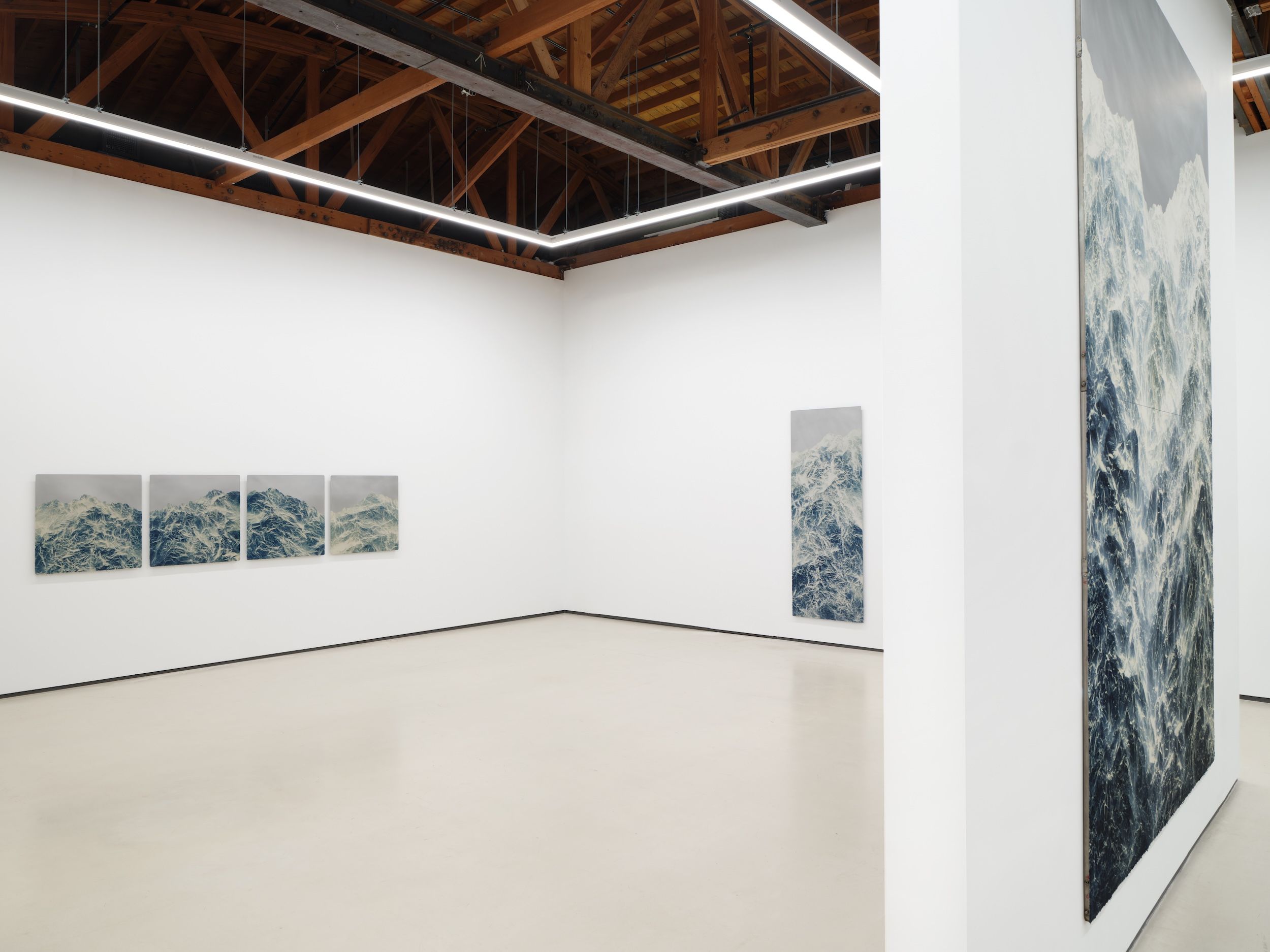 Wu Chi-Tsung, Fading Origin at Sean Kelly, photo 3