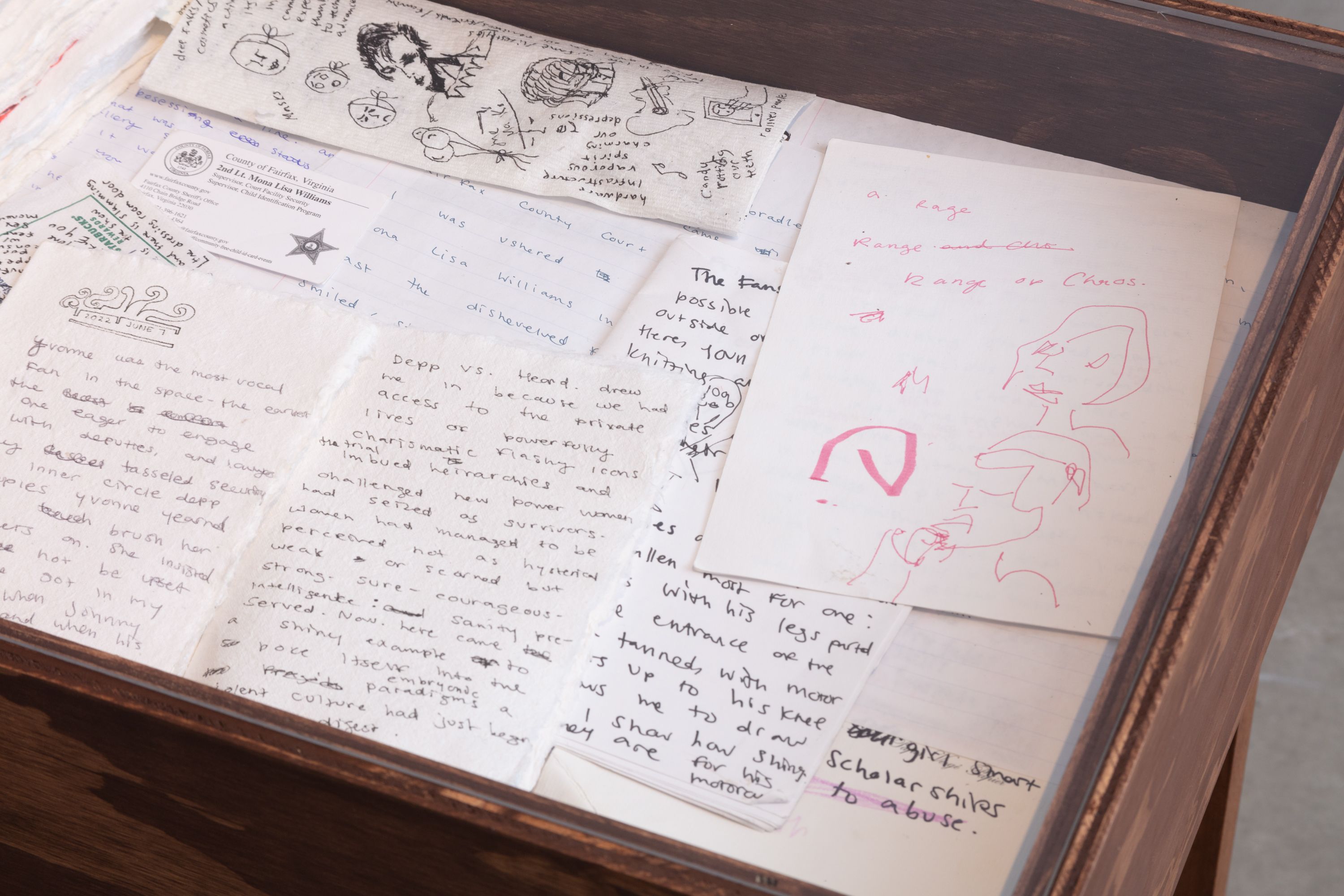 Isabelle Brourman, Virginia is for Lovers: The Official Courtroom Drawings from Depp v. Heard at Murmurs, photo 22