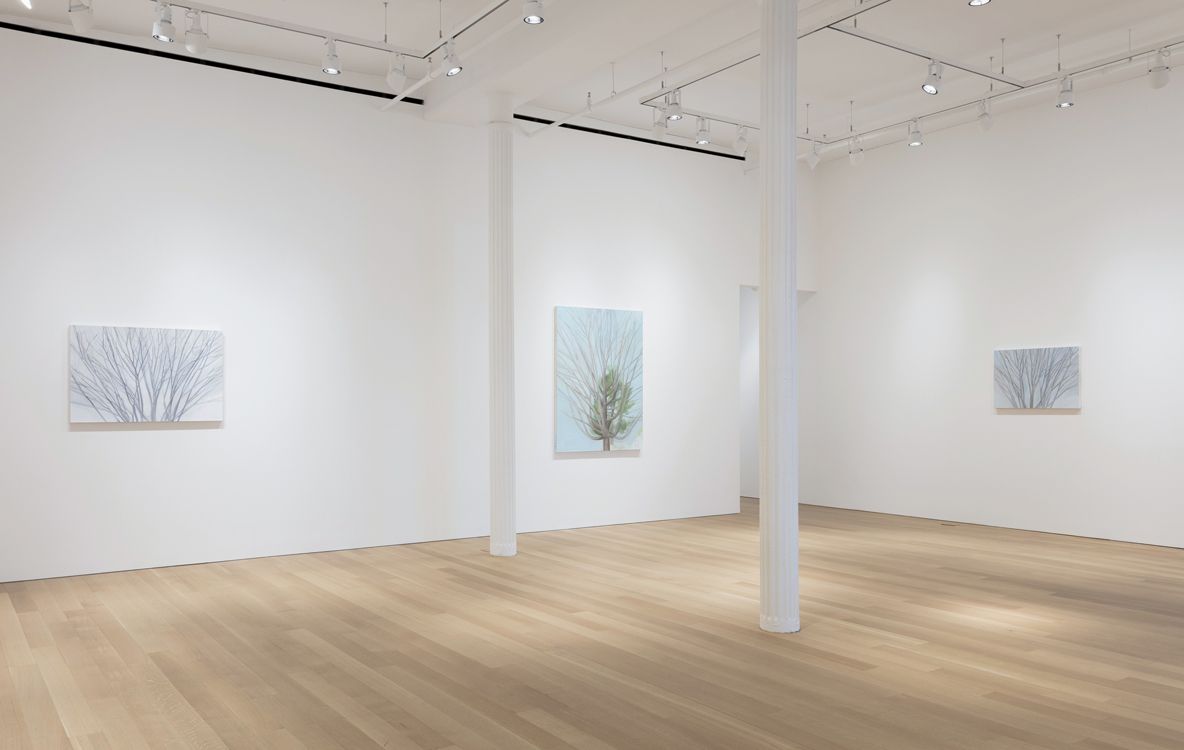 Sylvia Plimack Mangold, Summer and Winter at Alexander and Bonin, photo 6