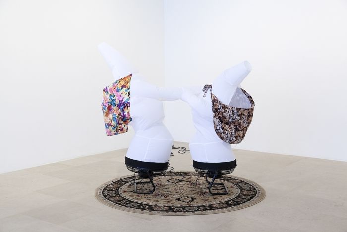 Paul Chan, Rhi Anima at Greene Naftali, photo 5