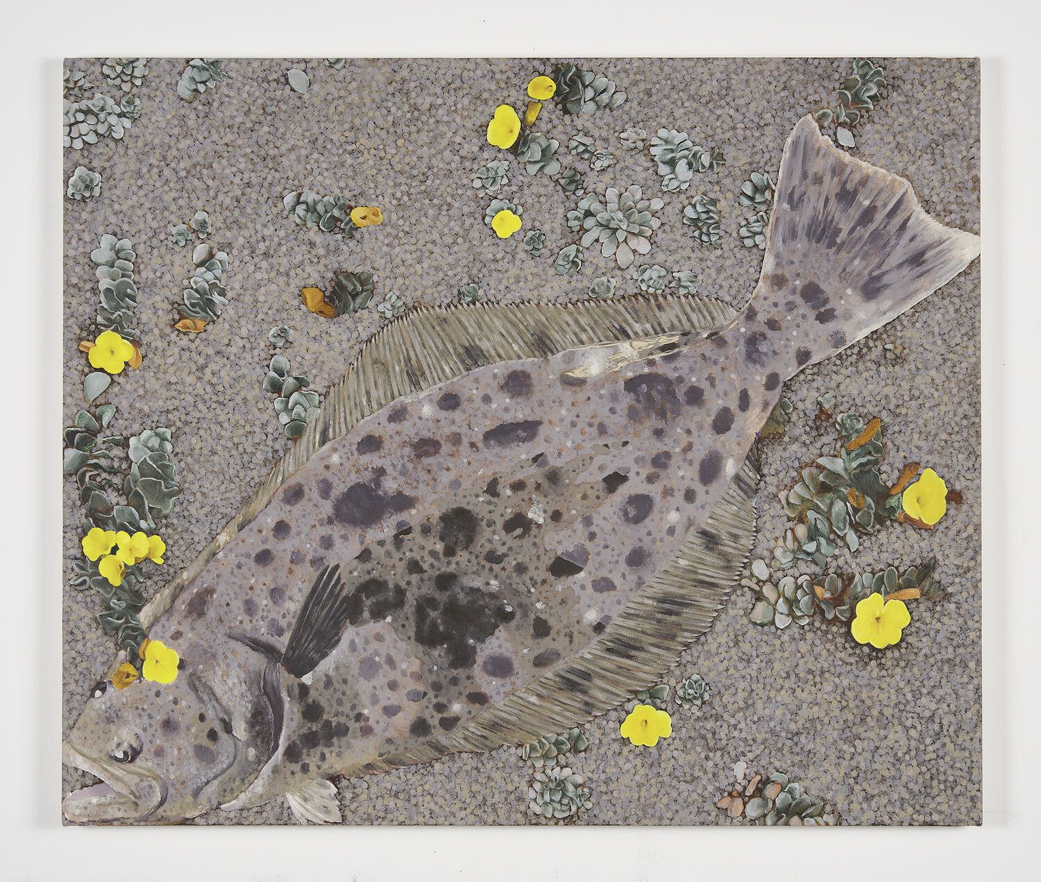 Adam Higgins, Flatfish at Hunter Shaw Fine Art, photo 17