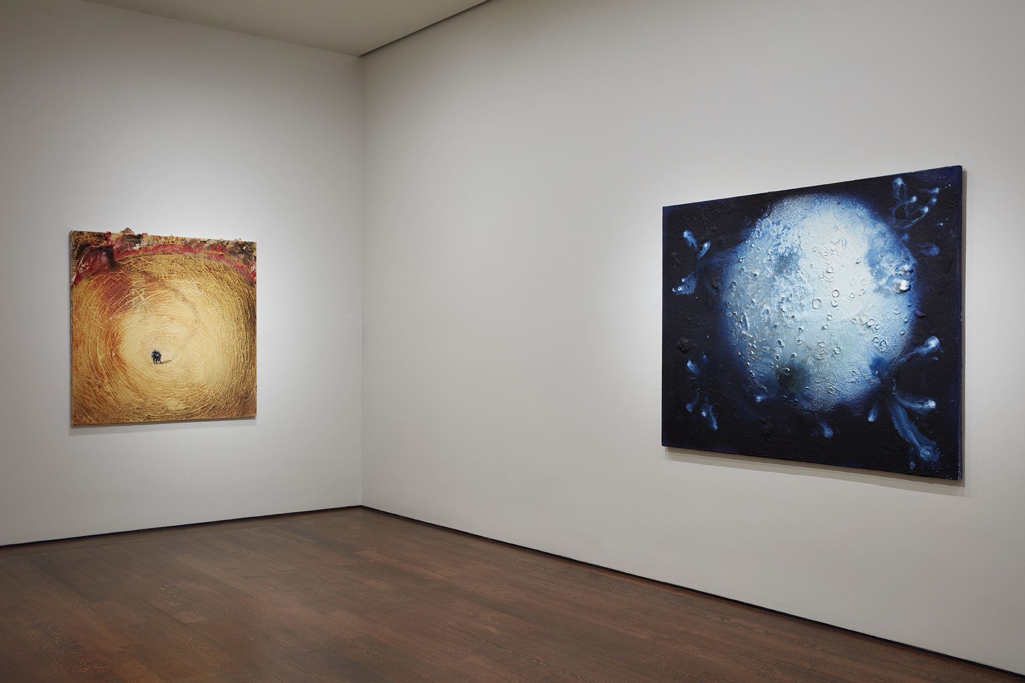 Miquel Barceló, Barcelo’s World at Acquavella Galleries, photo 2