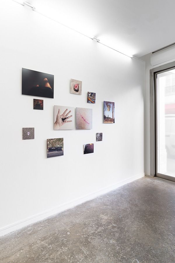 Dani Soter, Dani Soter at Maëlle Galerie, photo 7