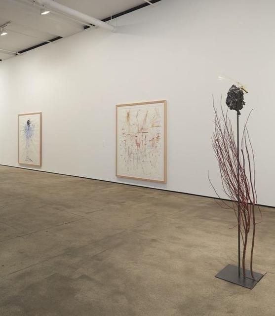 Installation view 7