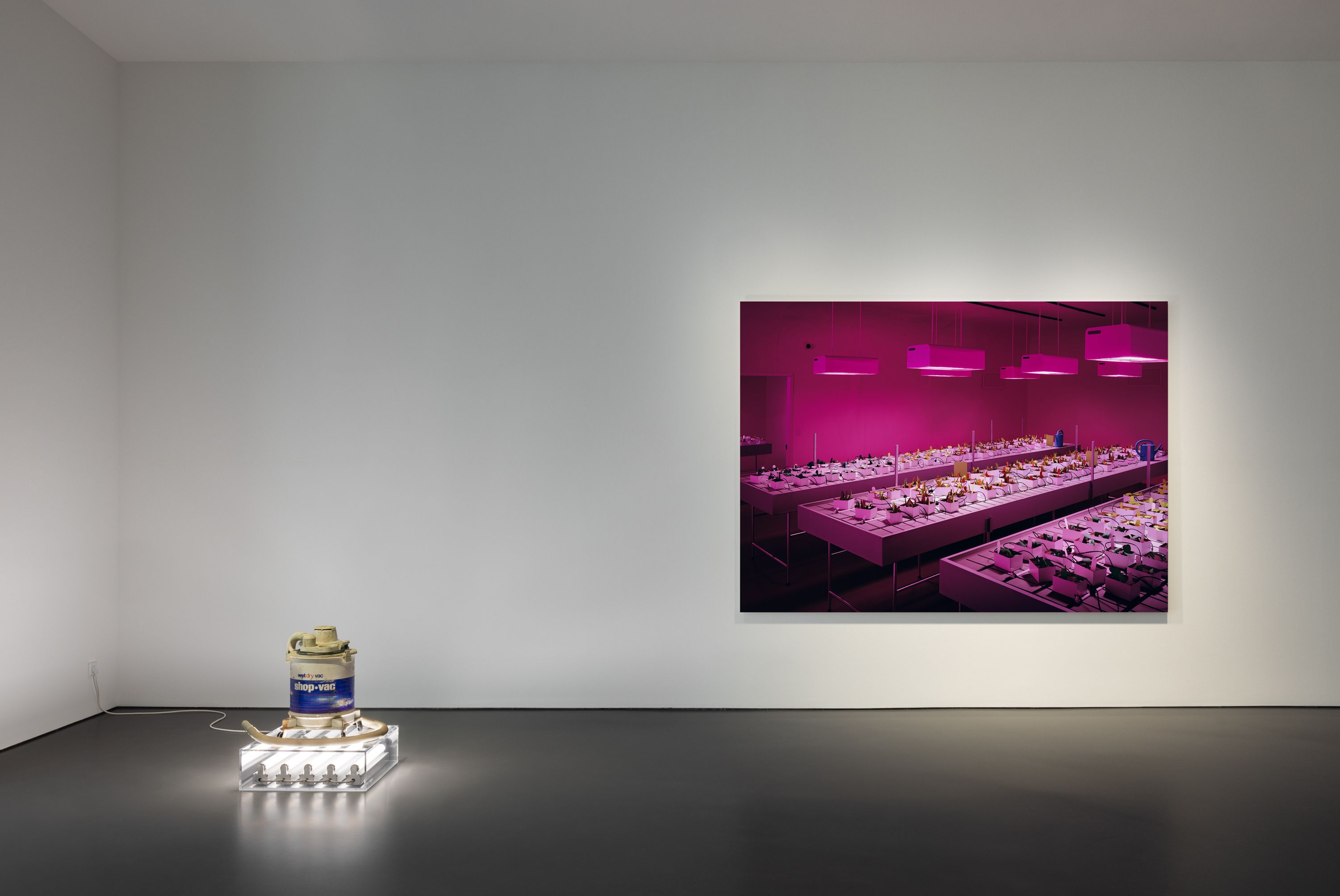 Winter 2026, Winter 2026 at Esther Schipper, photo 3