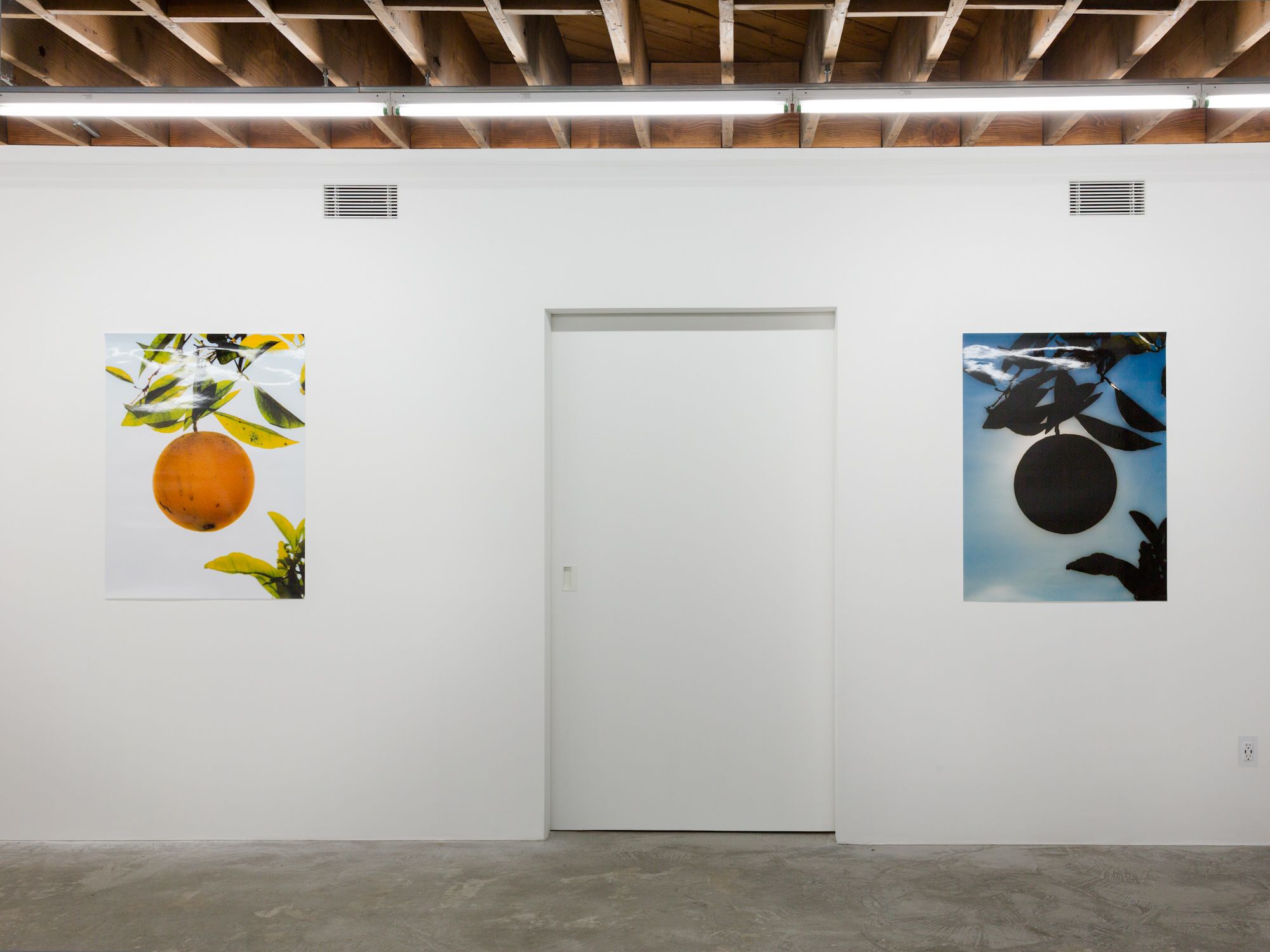 Daniel Terna & Evan Whale, Daniel Terna & Evan Whale at LY, photo 5
