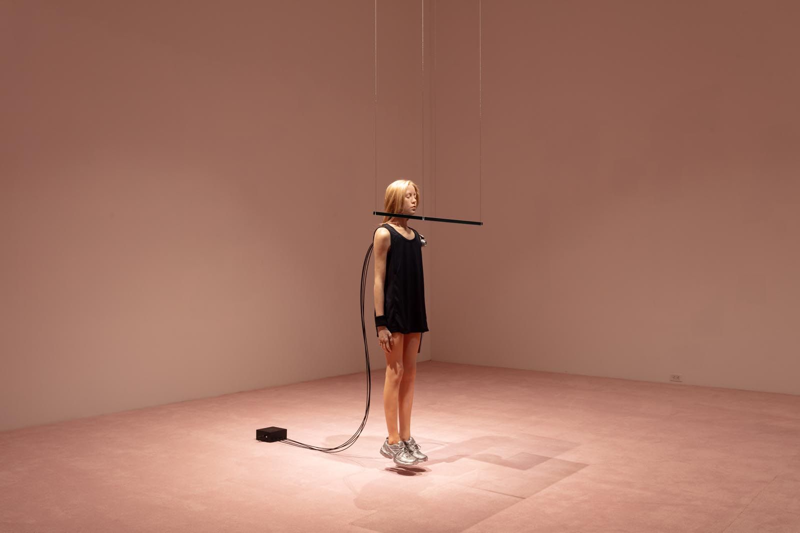 Collection Highlights, Collection Highlights at Rubell Museum, photo 15