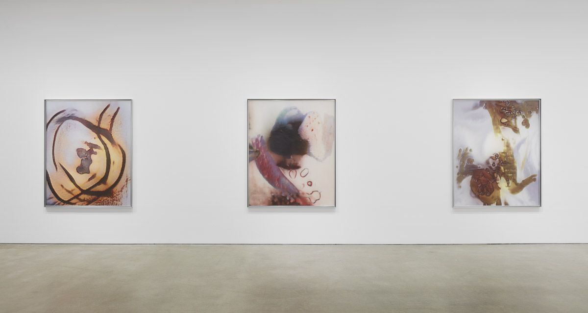 Anicka Yi, ÄLñ§ñ at Gladstone, photo 7