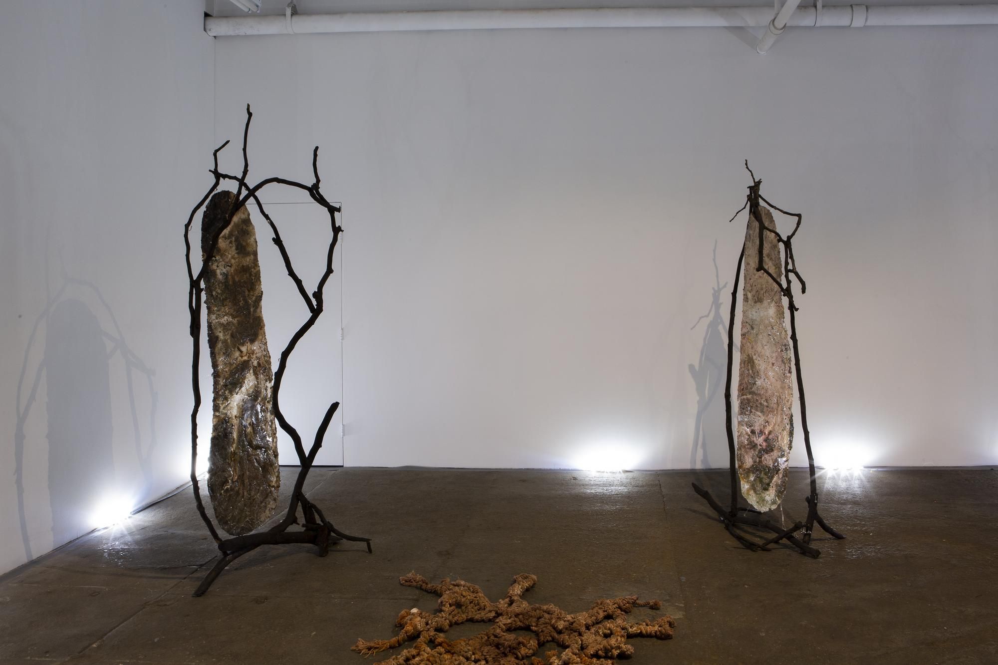 Vanessa Thill, Balsam at Deli Gallery, photo 5