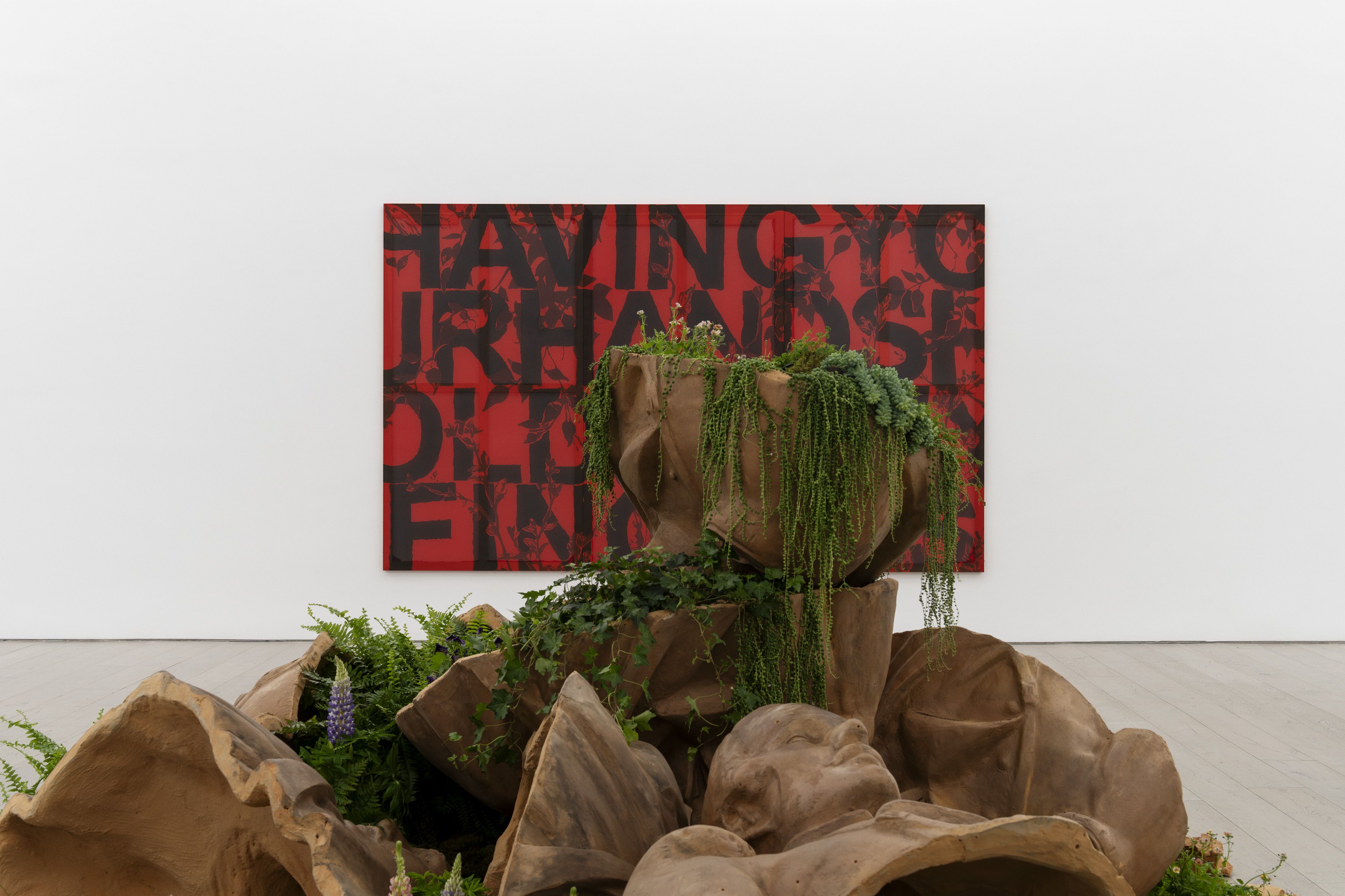 Iván Argote, Breathings at Perrotin, photo 4