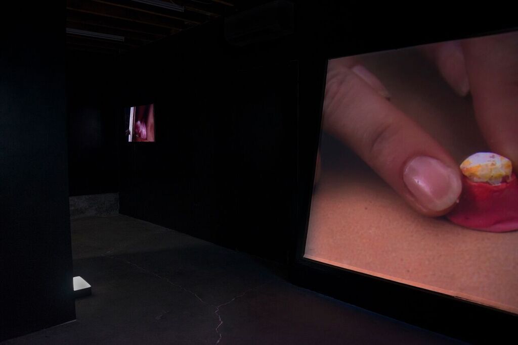 Mitra Saboury, Gut House at Chin's Push, photo 2