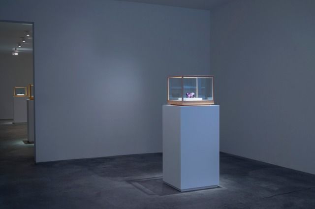 Ken Price, Specimen Rocks at Matthew Marks, photo 6