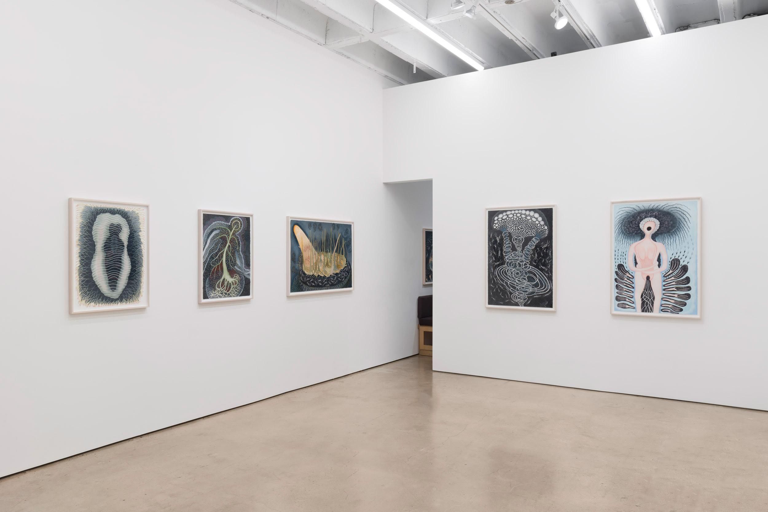 Ann Leda Shapiro, Diagnosing Disturbances at François Ghebaly, photo 2