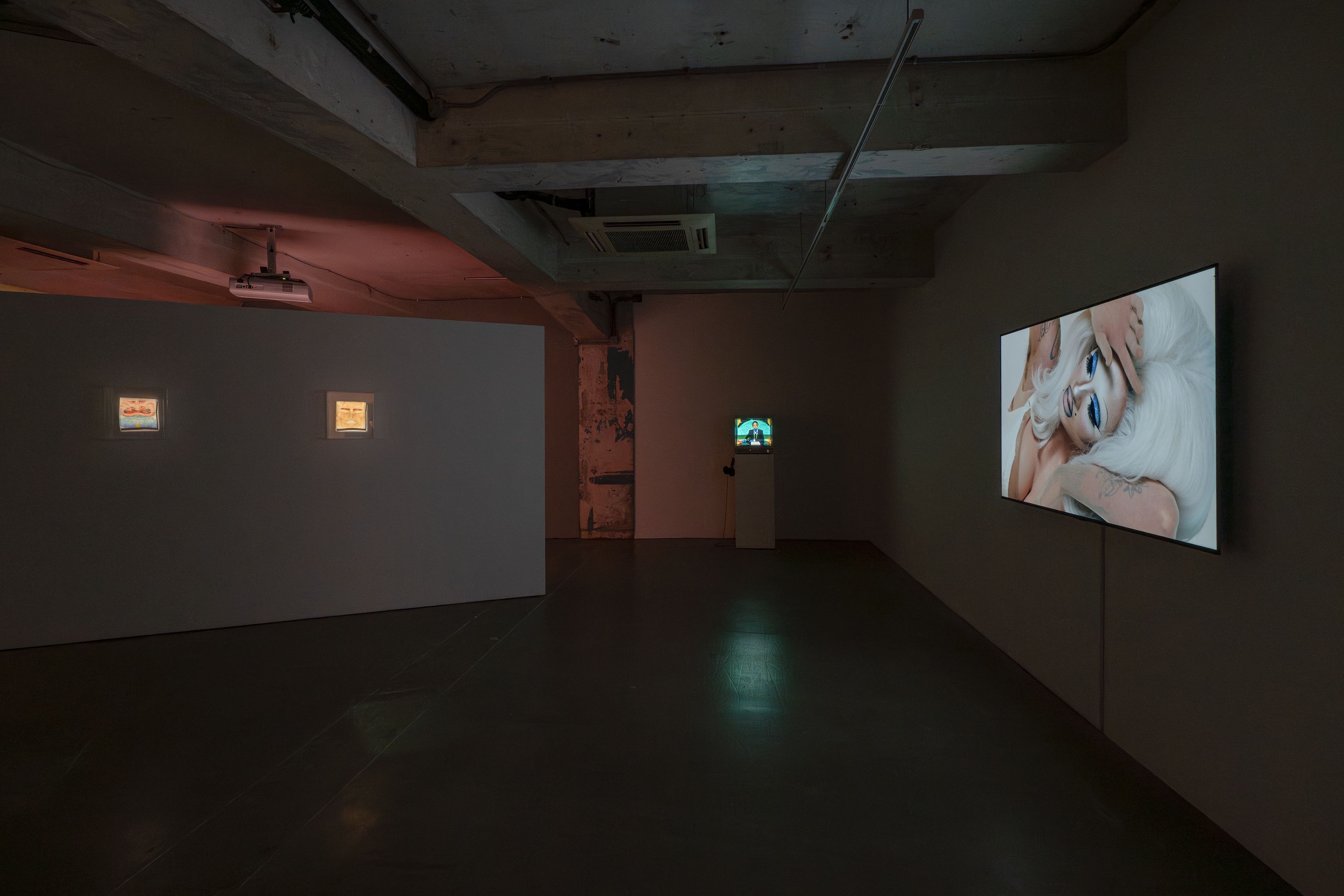Sin Wai Kin, The Time of Our Lives at Blindspot Gallery, photo 3
