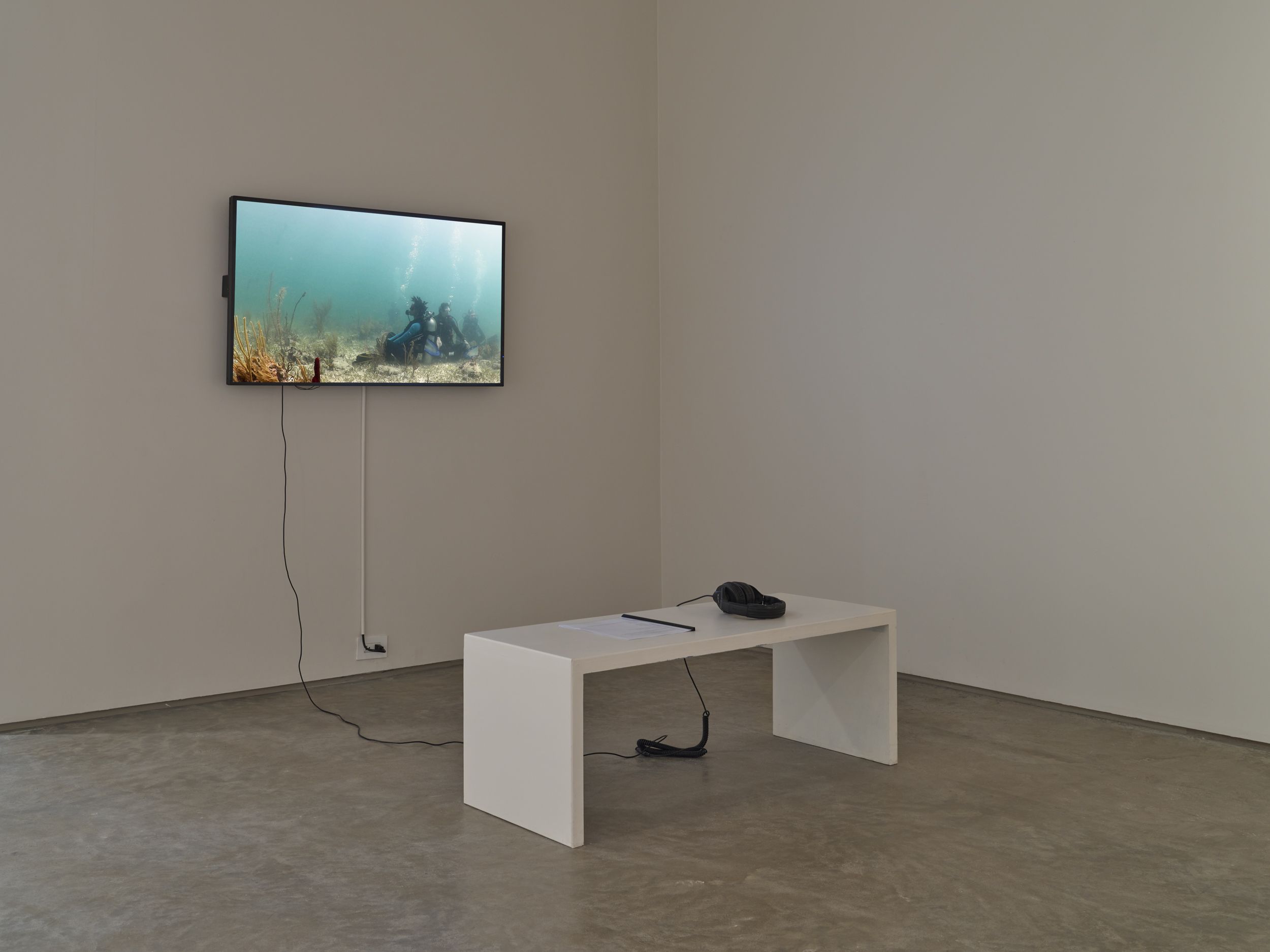 Common Sentience, Common Sentience at 601 Artspace, photo 2