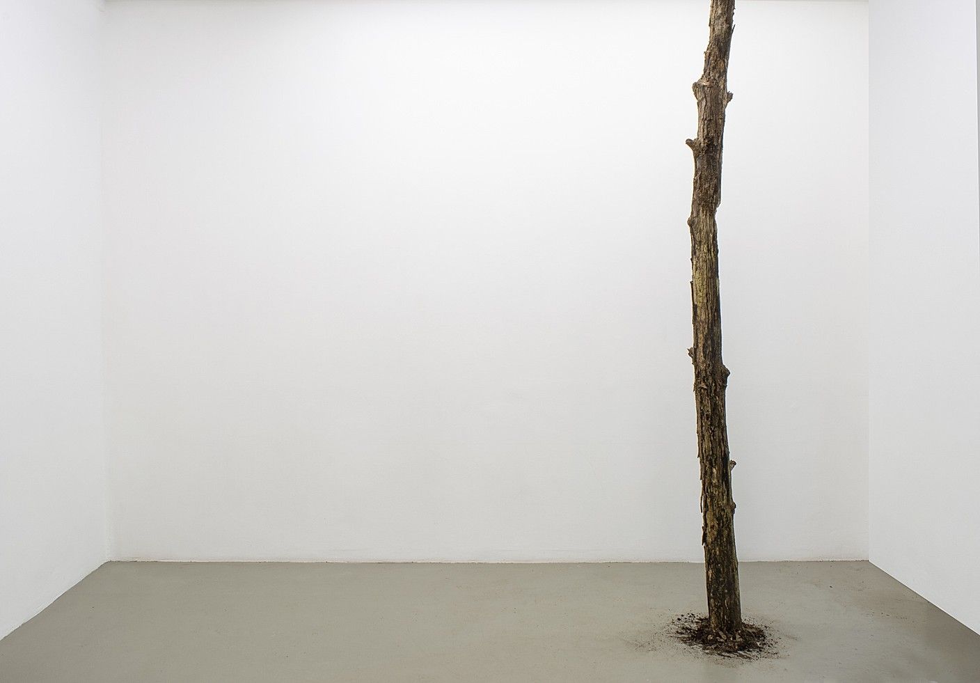Cécile Beau, Hylé at 22,48 m², photo 3