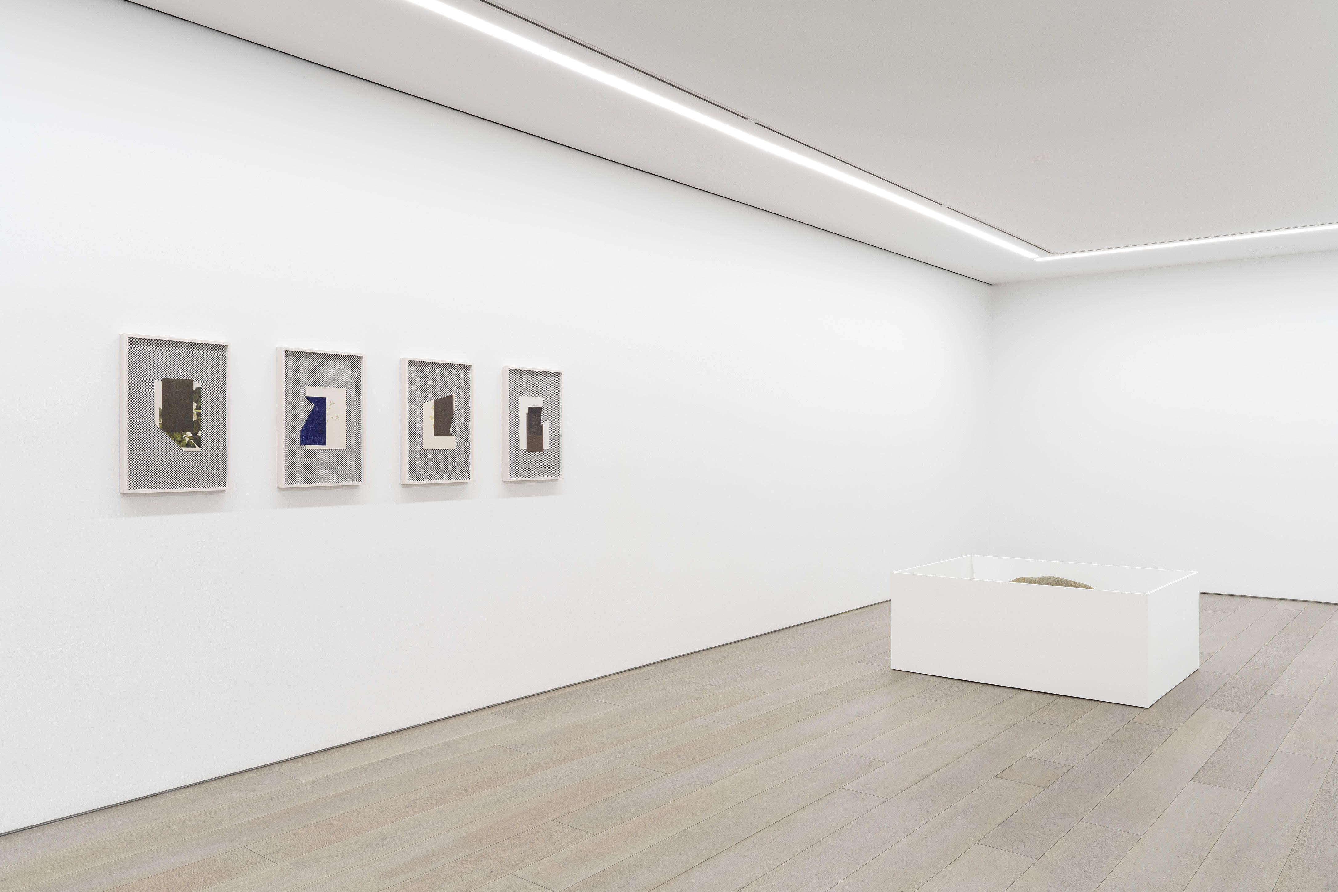 Leslie Hewitt, Soft Tremulous Light at Perrotin, photo 3