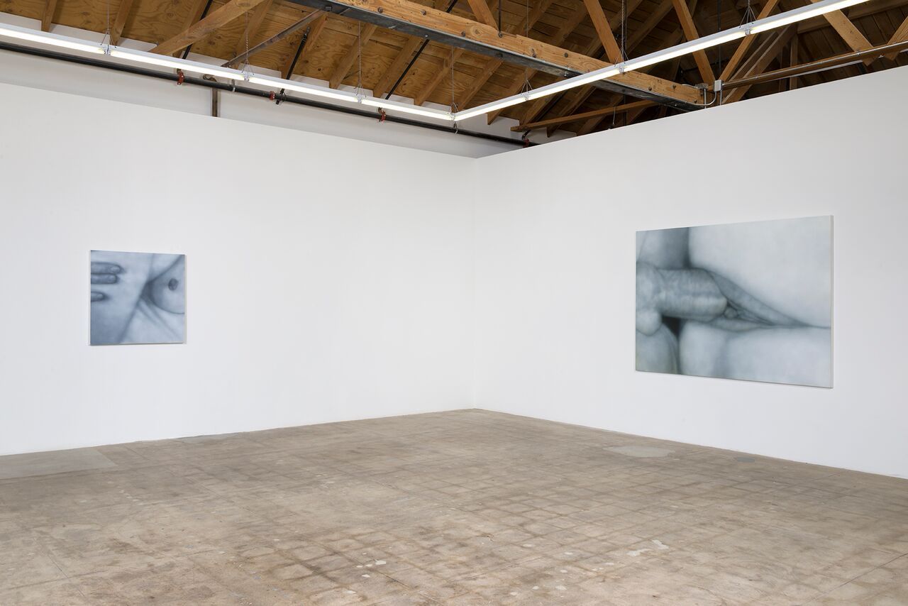 Betty Tompkins, Sex Works / Women Words, Phrases, and Stories at Gavlak, photo 5