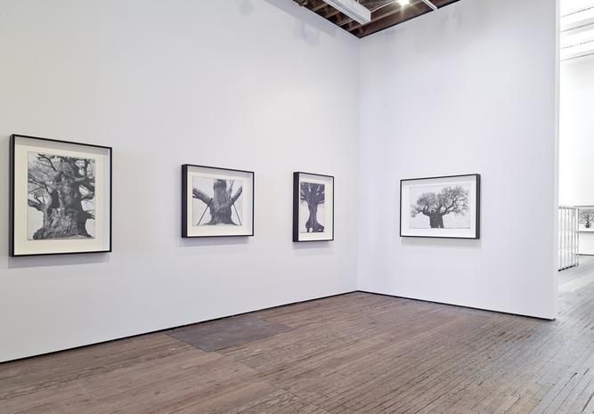 Patrick Van Caeckenbergh, Patrick Van Caeckenbergh at Lehmann Maupin, photo 3