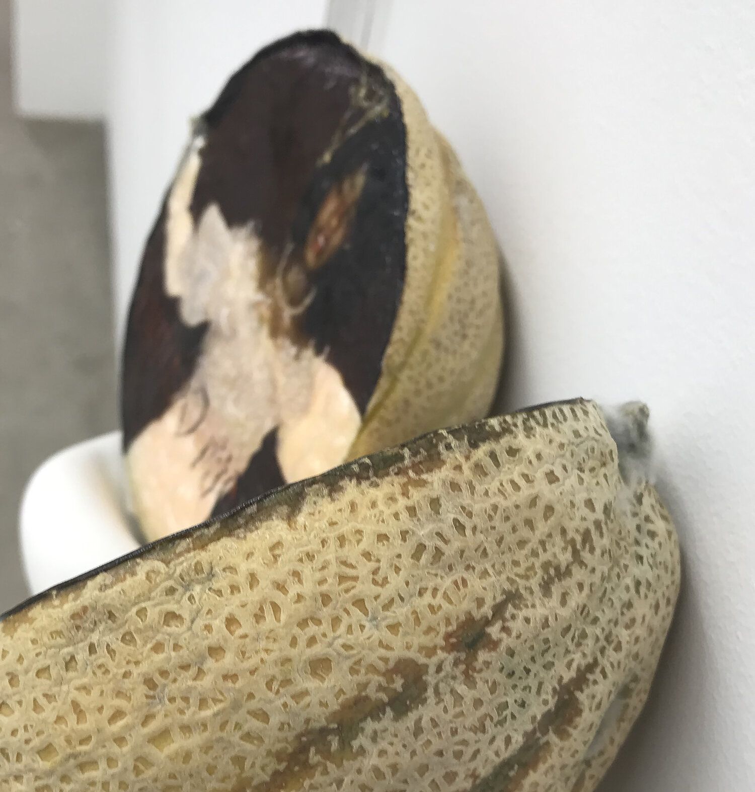 Karinne Smith, Melon Skin at M 2 3, photo 13