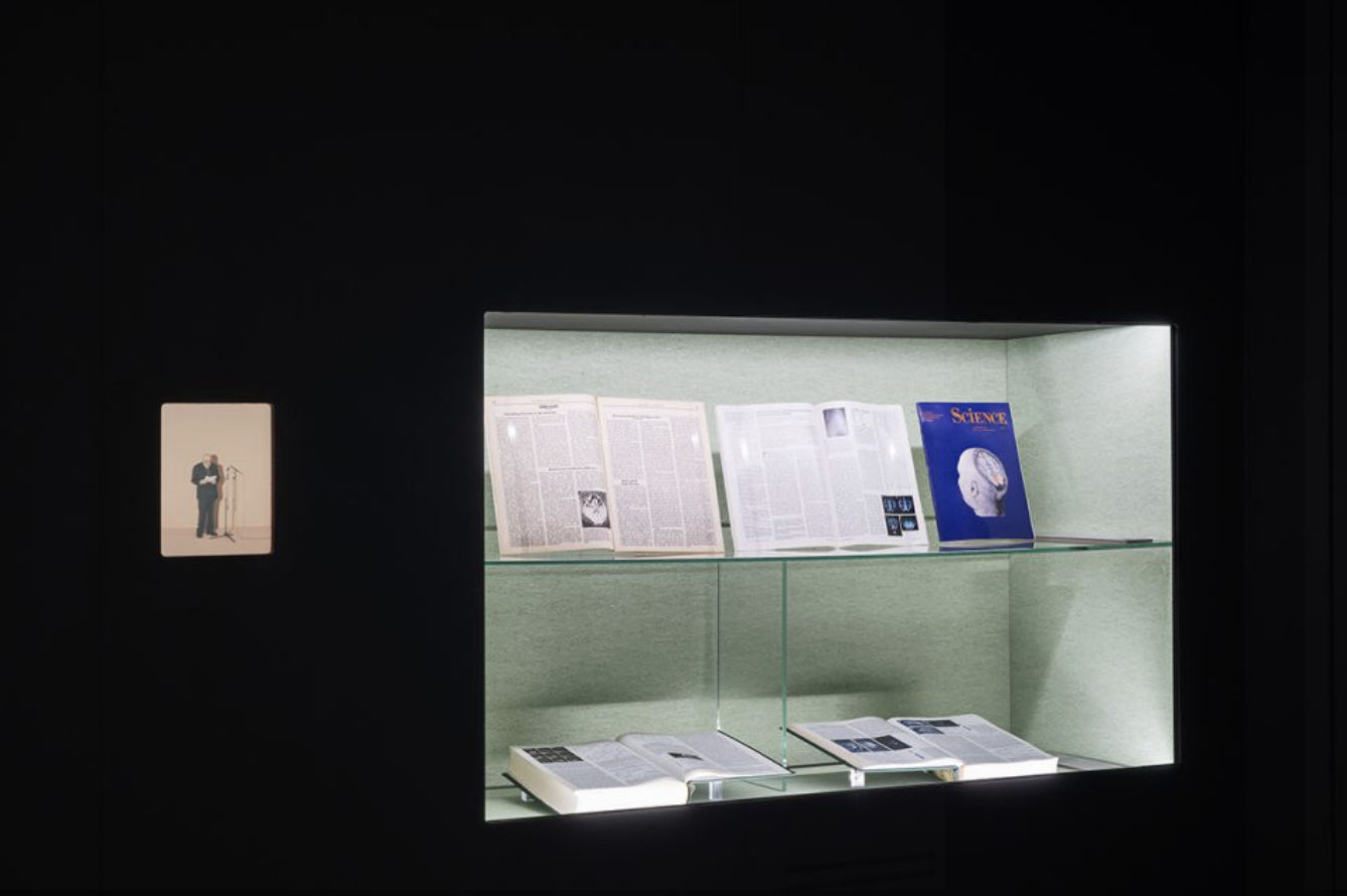 Human Brains, Human Brains at Fondazione Prada, photo 3
