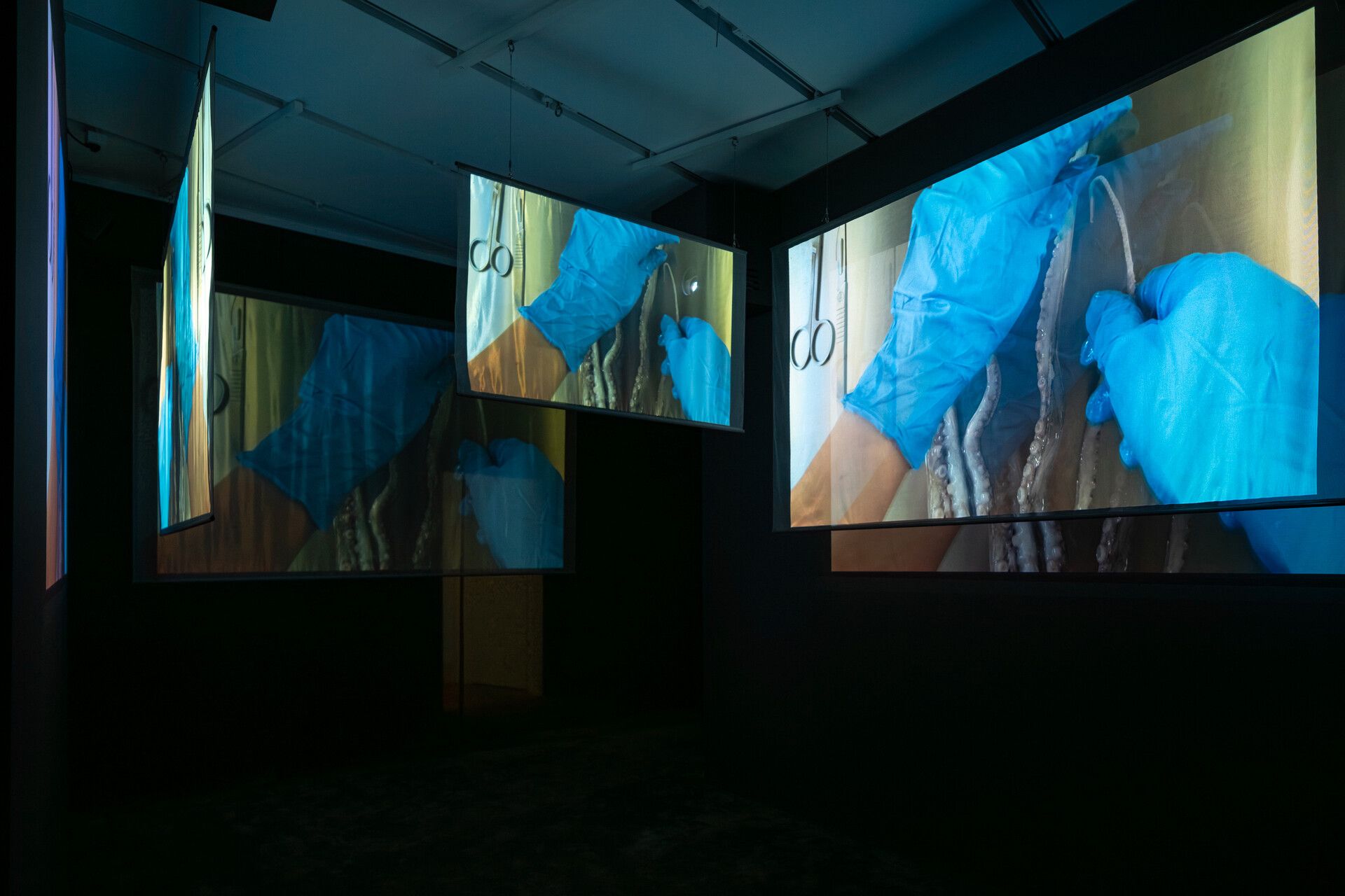 Hu Xiaoyuan, Veering at Tai Kwun Contemporary, photo 5