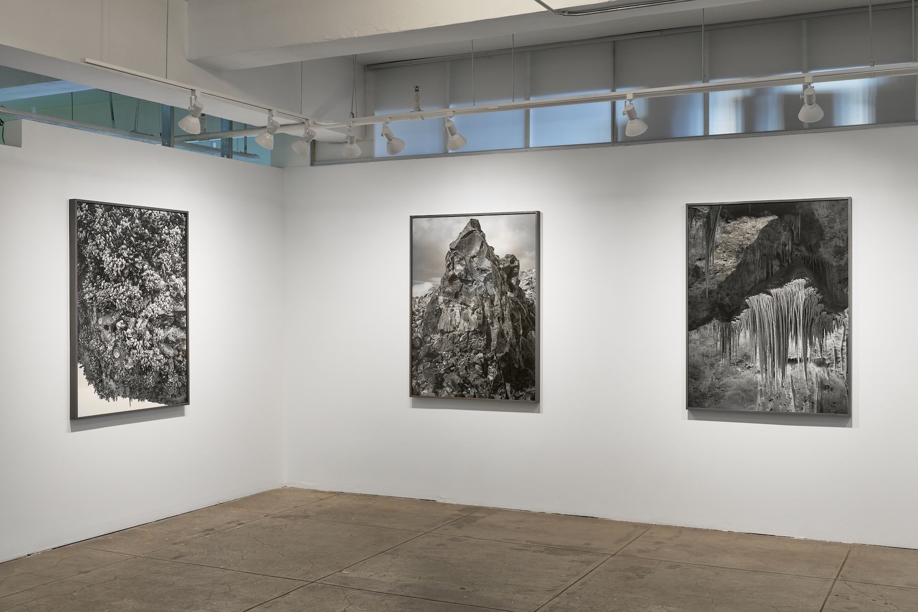 Ron Jude, Low Tide at Gallery Luisotti, photo 9