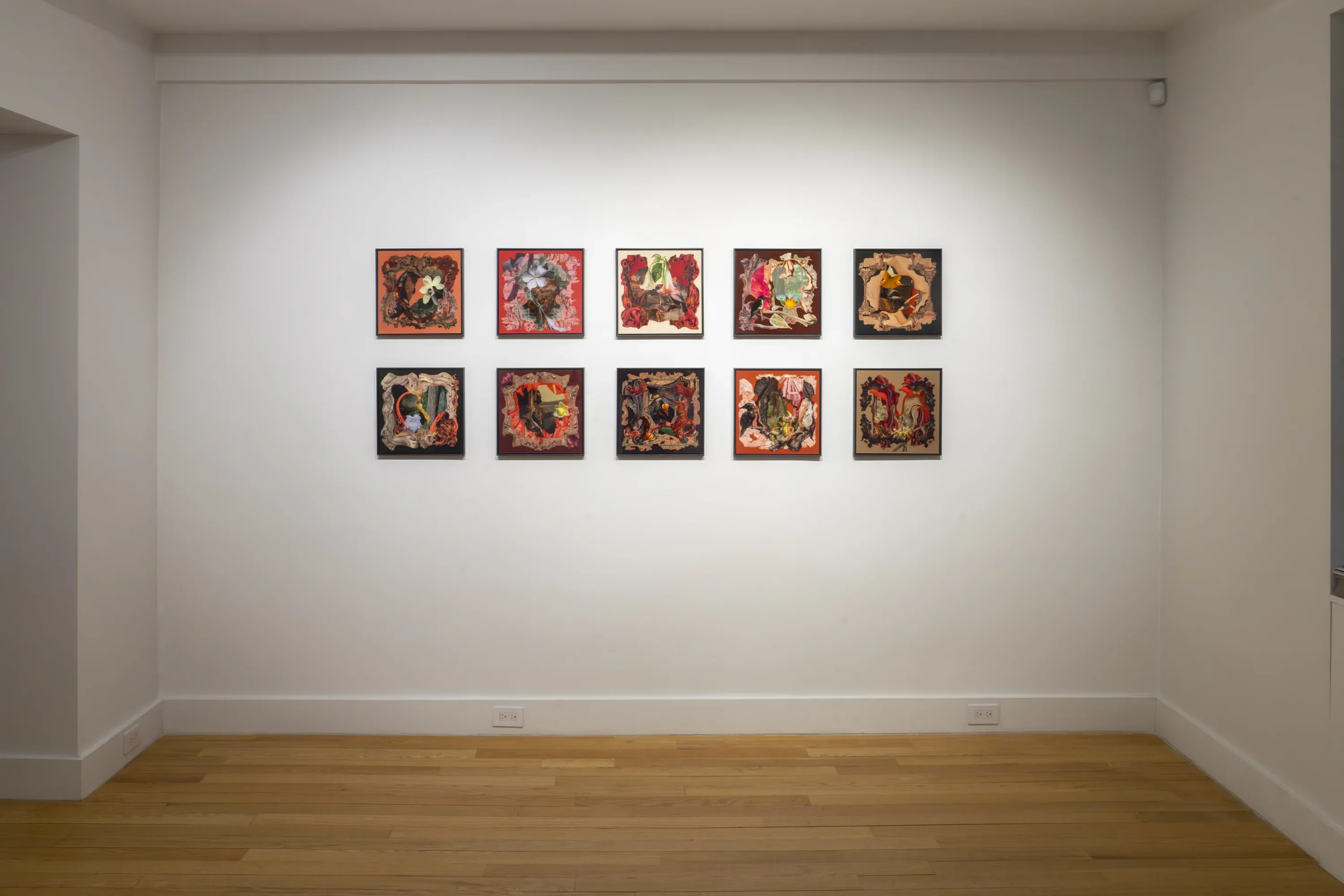 Debora Hirsch, Herbaria at Hutchinson Modern & Contemporary, photo 2