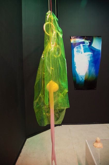 Tatiana Kronberg, Exposure at Essex Flowers, photo 5