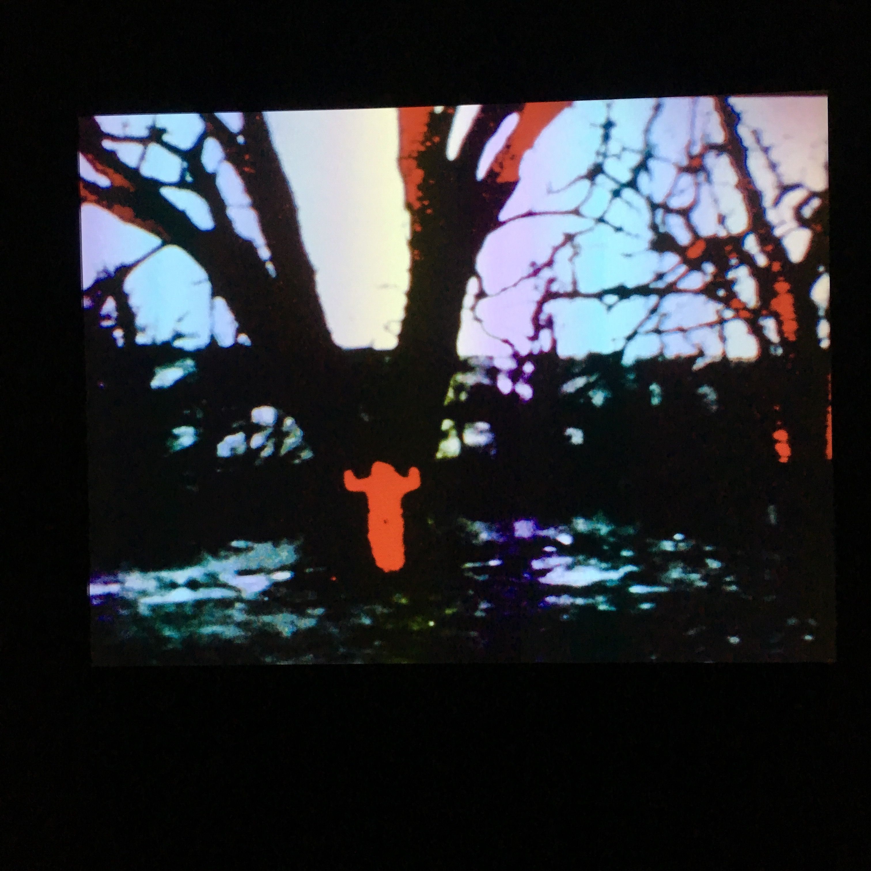 Ana Mendieta, Experimental and Interactive Films at Lelong & Co, photo 7
