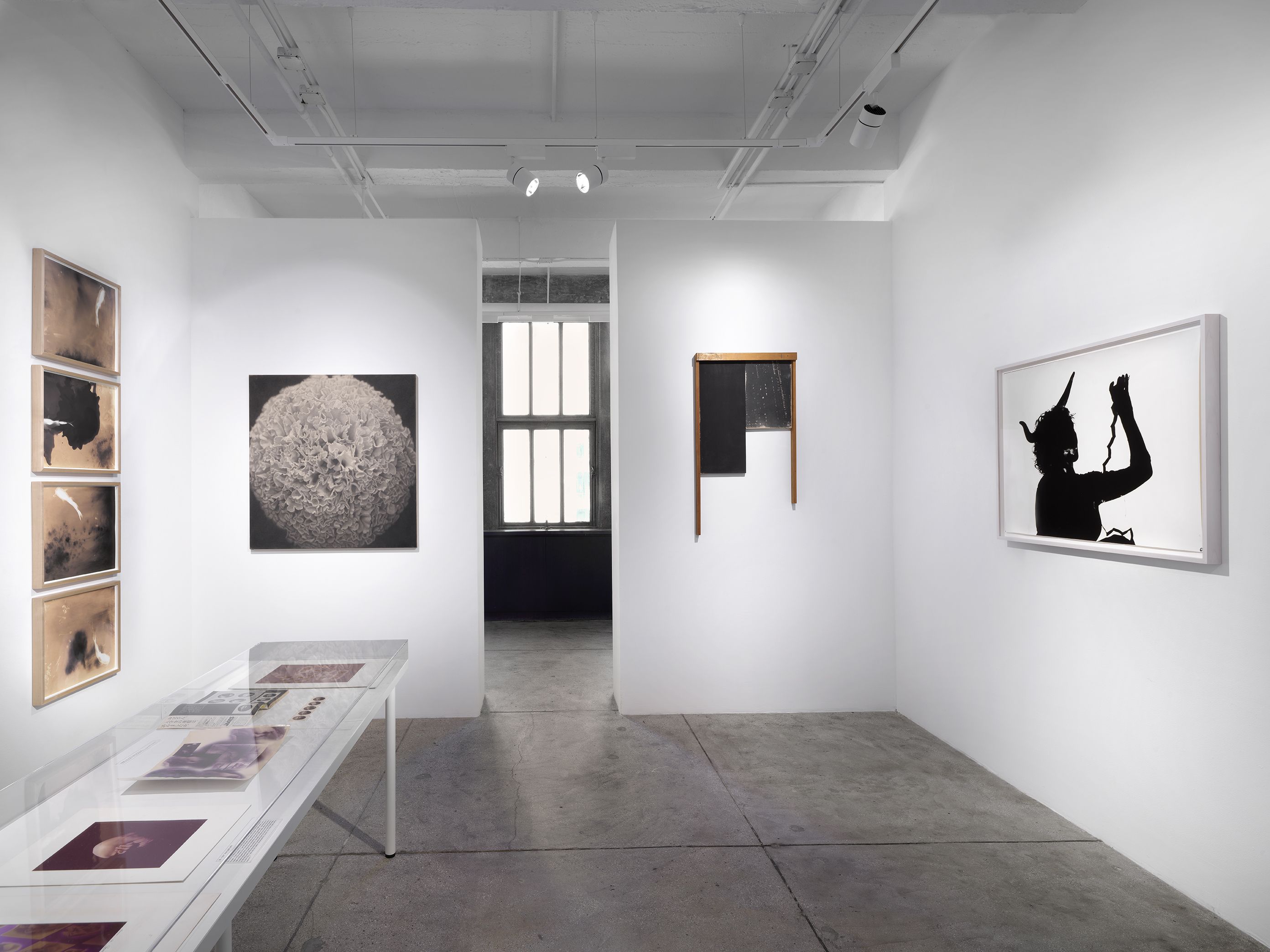 Kunié Sugiura, Kunié Sugiura at Alison Bradley Projects, photo 5