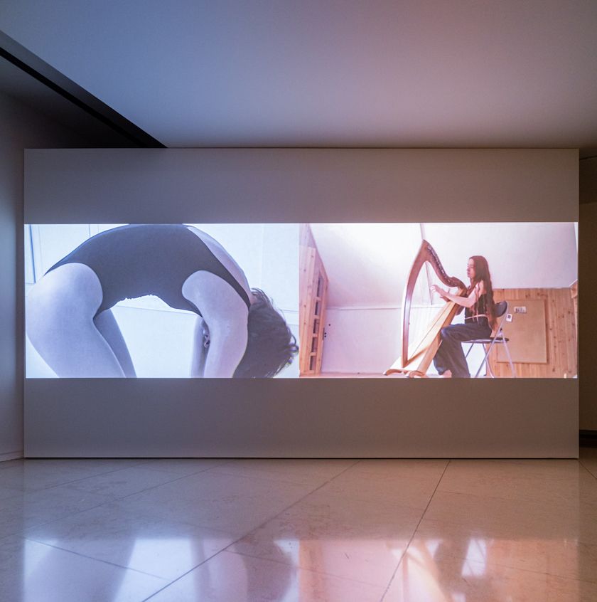 Senta Simond, Dissonance at Webber, photo 3