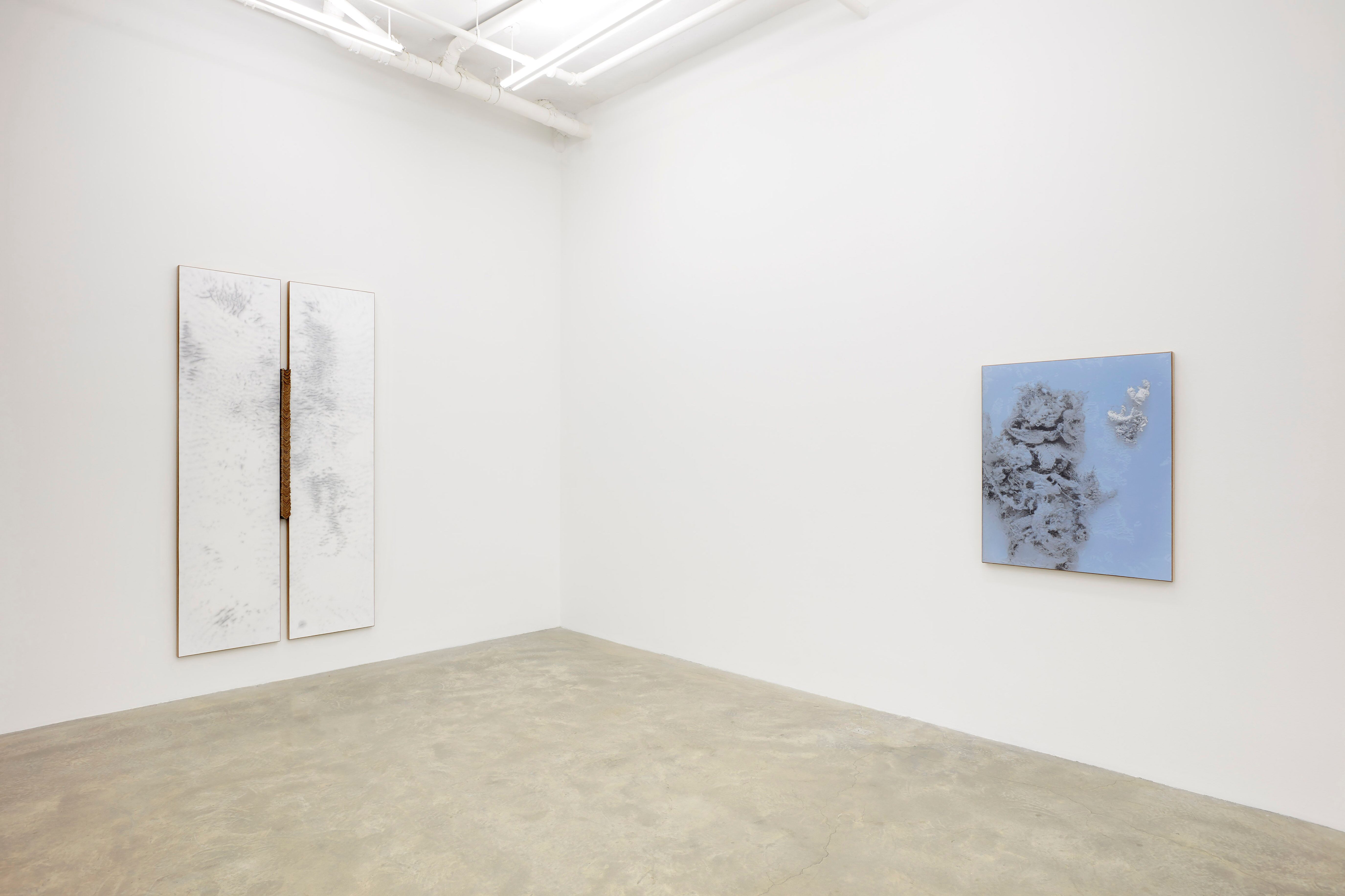 N. Dash, N. Dash at Casey Kaplan, photo 10