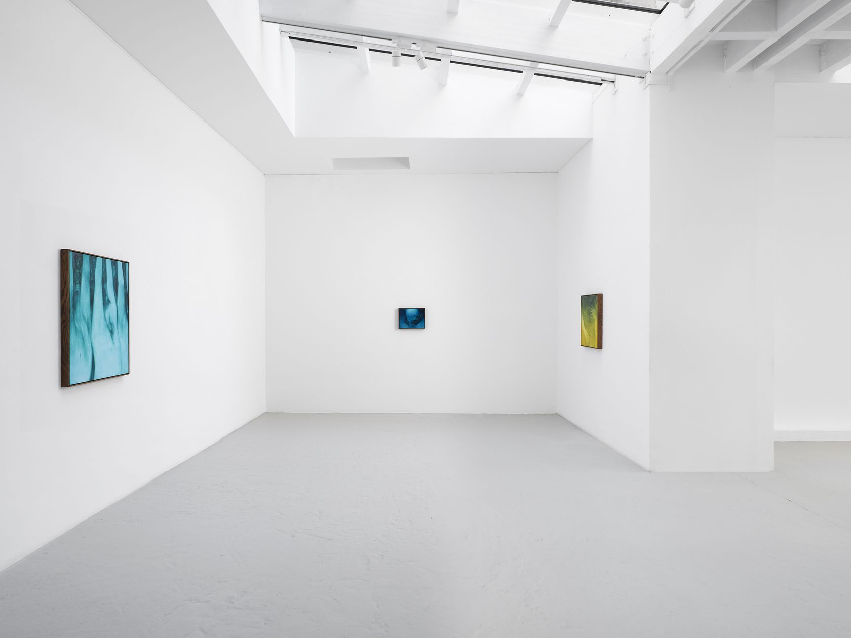 Xie Lei, Mort Heureuse at Semiose, photo 5