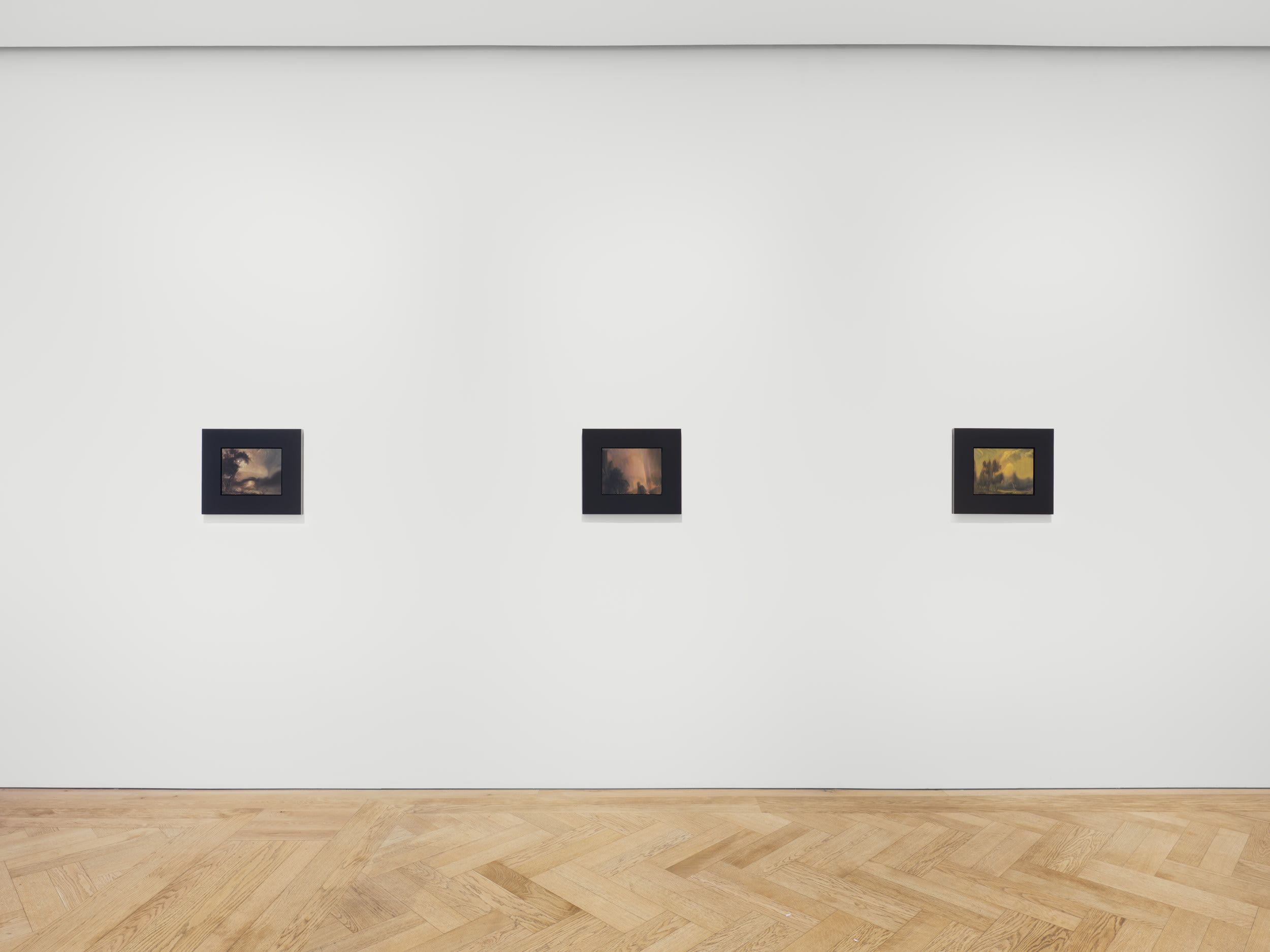 Rachel Rose, Slips at Pilar Corrias, photo 2