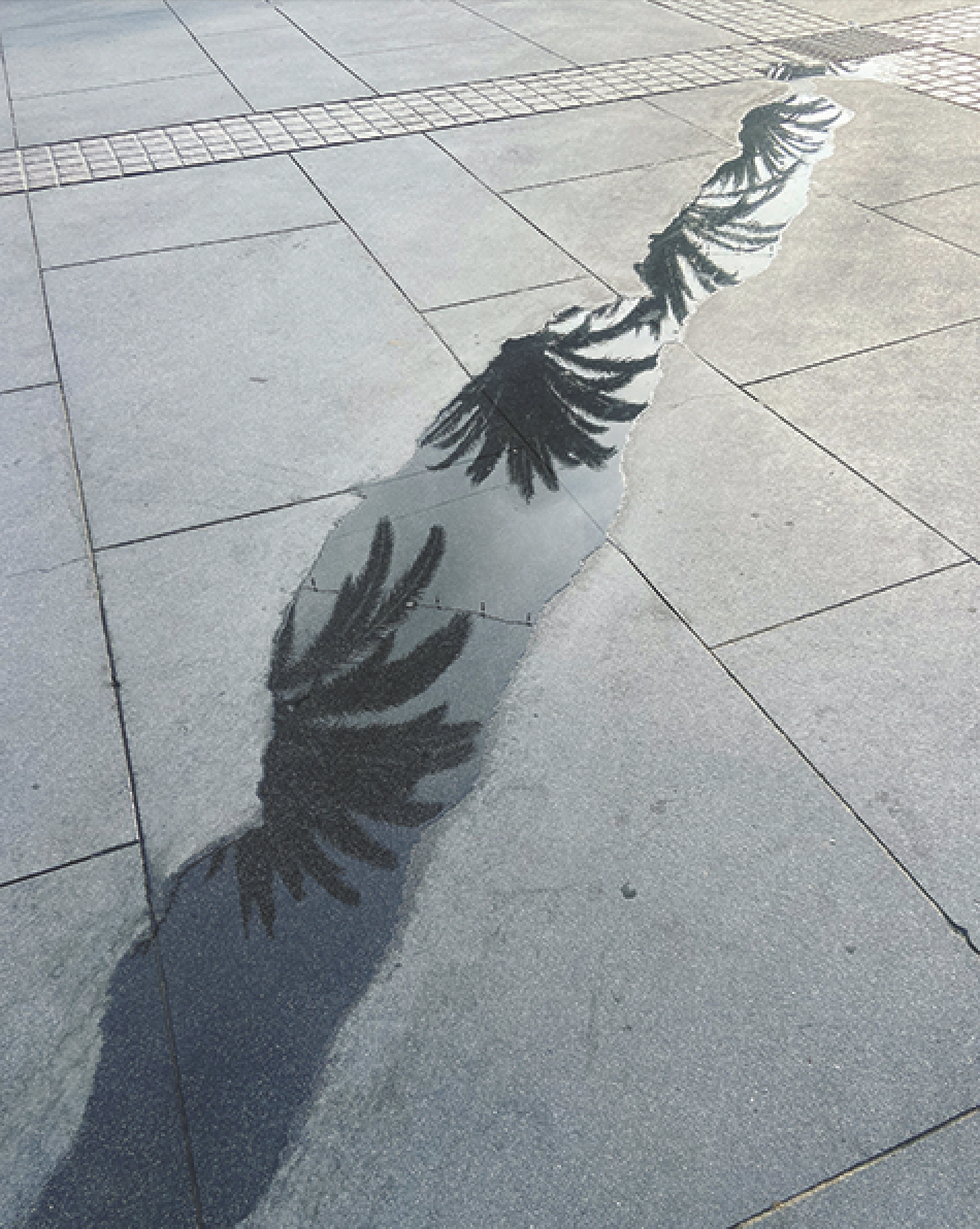 Jamie Lubetkin, Street Poetry at EV Gallery, photo 2