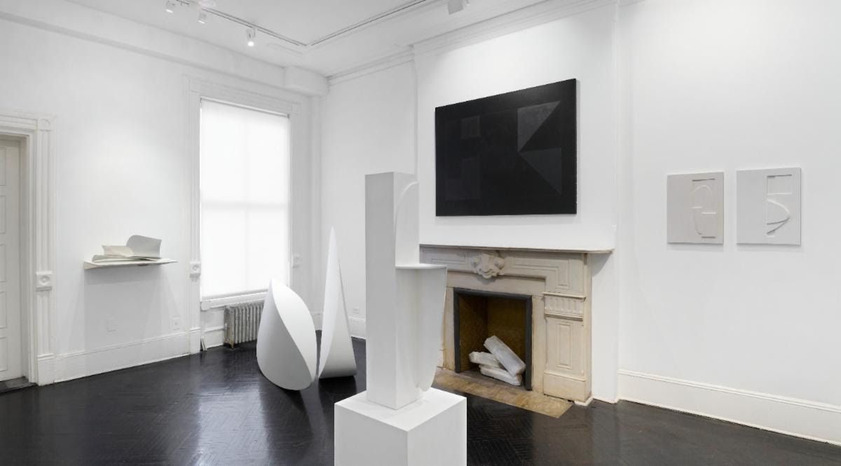 Emilia Azcárate & José Gabriel Fernández, The Body Inherent at Henrique Faria, photo 3