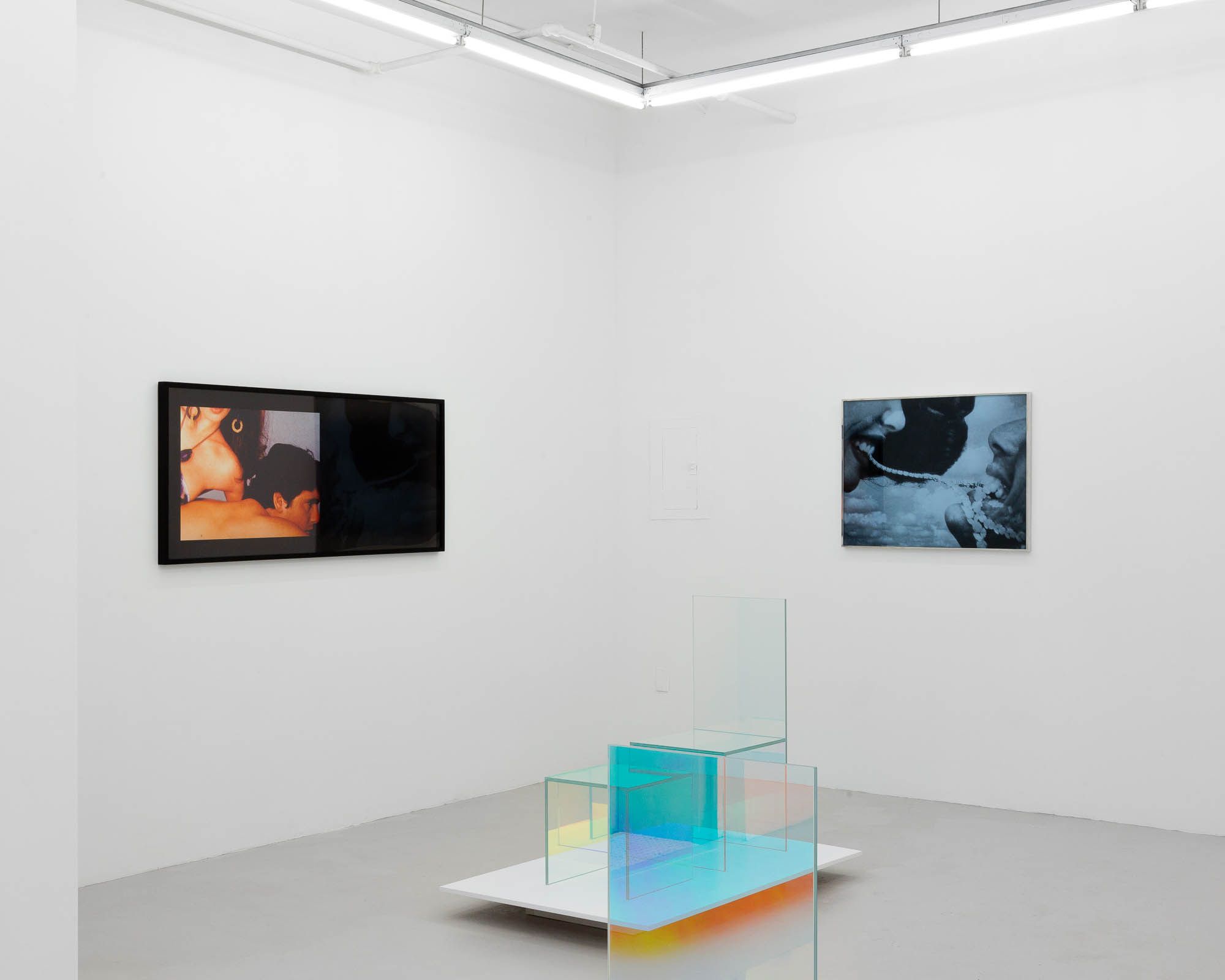 Vikky Alexander, A Kiss is the Beginning of Cannibalism at Downs & Ross, photo 3