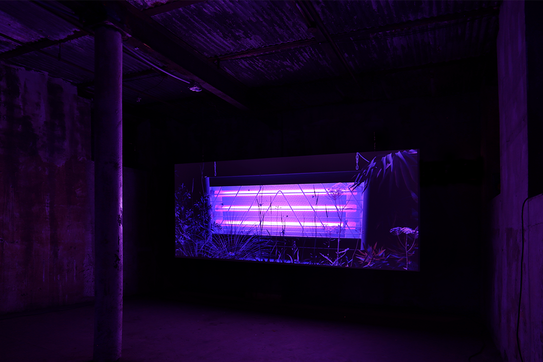 Gregory Kalliche, Second Sun at Knockdown Center, photo 5