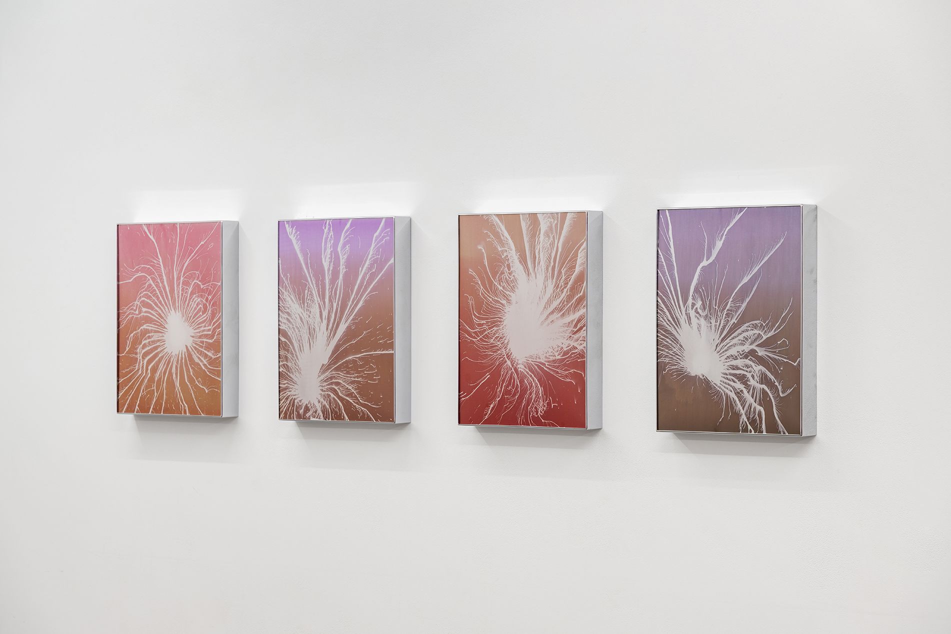 Gabriele Beveridge, Never Ends at Seventeen, photo 4