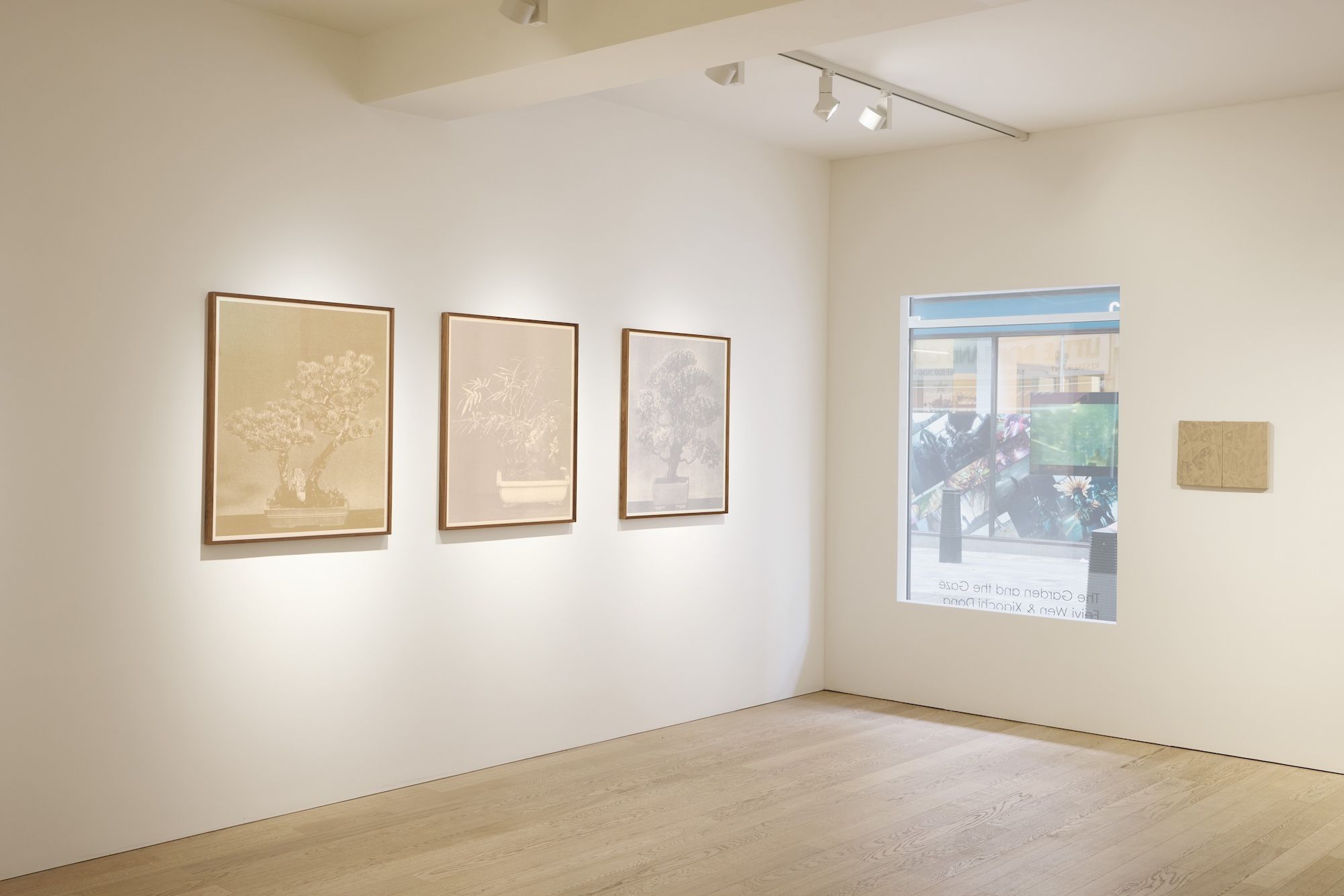 Xiaochi Dong & Feiyi Wen, The Garden and the Gaze at Albion Jeune, photo 13